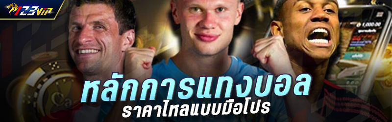 หลักการแทงบอลราคาไหลแบบมือโปร